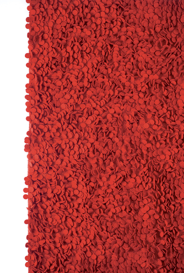 Roses Red | Rugs | Nanimarquina