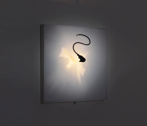Luce che dipinge | Lámparas de pared | Catellani & Smith