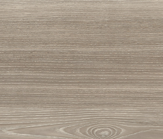 Expona Commercial - Grey Ash Wood Smooth | Vinyl flooring | objectflor