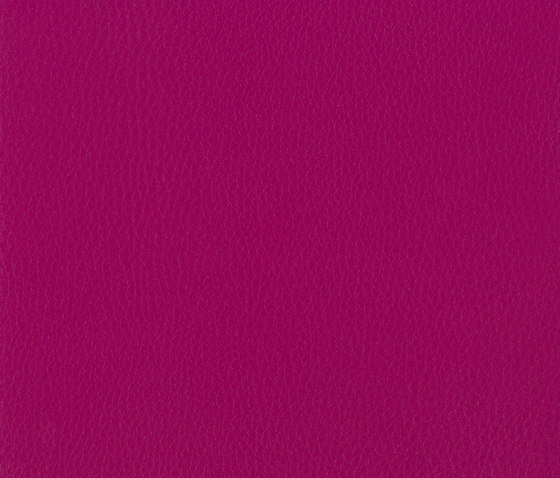 Ginkgo Begonia | Upholstery fabrics | COTTING Group