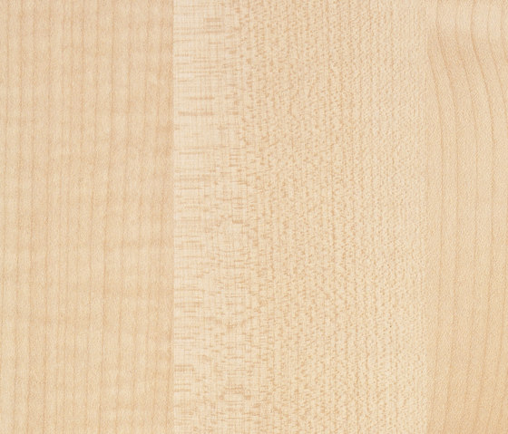 Holzdekore | Composite panels | Kaindl