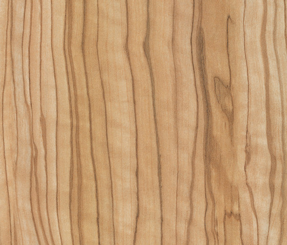 Holzdekore | Verbundwerkstoff Platten | Kaindl