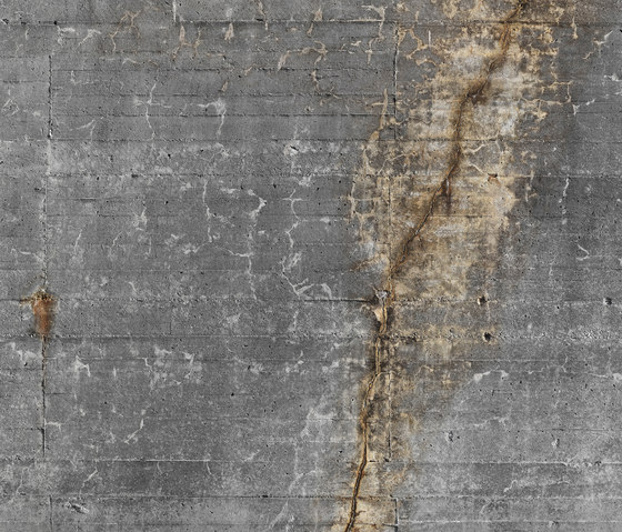 Concrete wall 32 | Quadri / Murales | CONCRETE WALL