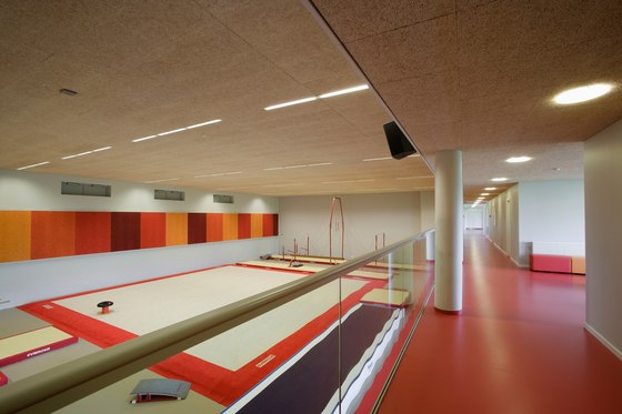 Troldtekt | Applications | Gymnasium Torshavn | Acoustic ceiling systems | Troldtekt