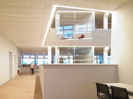 Troldtekt | Applications | City hall Hillerõd | Acoustic ceiling systems | Troldtekt