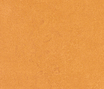 View Orange | Wandfliesen | Atlas Concorde