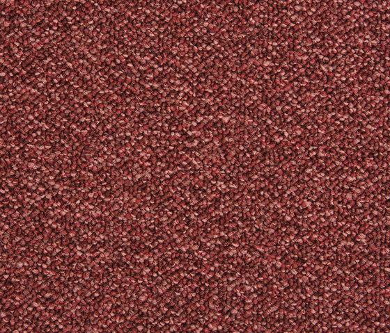 Slo 403 - 313 | Quadrotte moquette | Carpet Concept