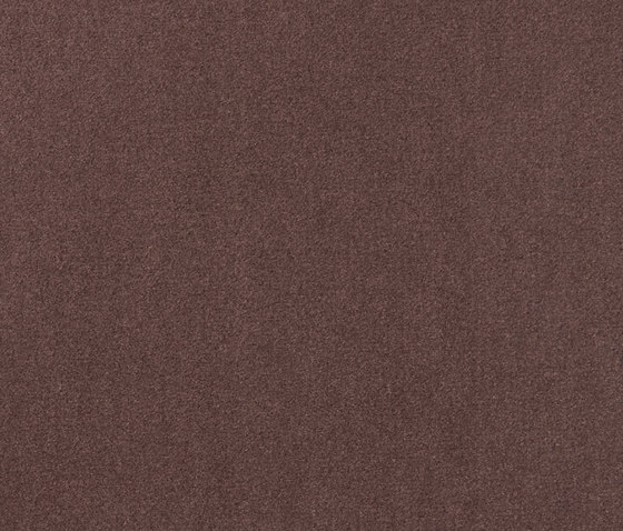Slo 404 - 462 | Dalles de moquette | Carpet Concept