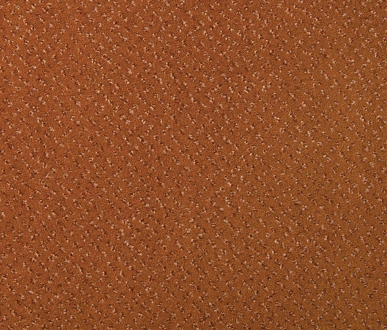 Slo 405 - 313 | Teppichfliesen | Carpet Concept