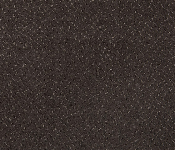 Slo 405 - 981 | Dalles de moquette | Carpet Concept