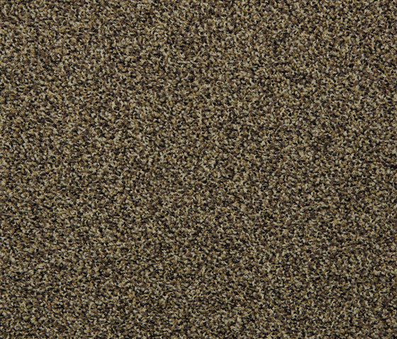 Slo 406 - 662 | Teppichfliesen | Carpet Concept