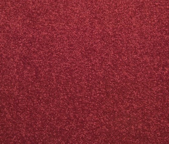 Slo 420 - 346 | Quadrotte moquette | Carpet Concept