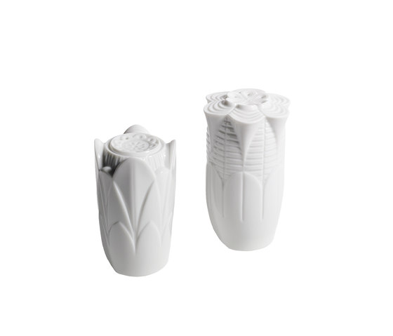 Naturofantastic - Salt & pepper shakers (white) | Sel & Poivre | Lladró