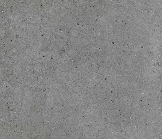 Argent Stone In | Ceramic panels | Caesar