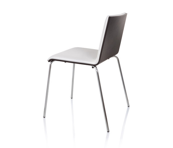 Casablanca Chair | Sillas | ALMA Design
