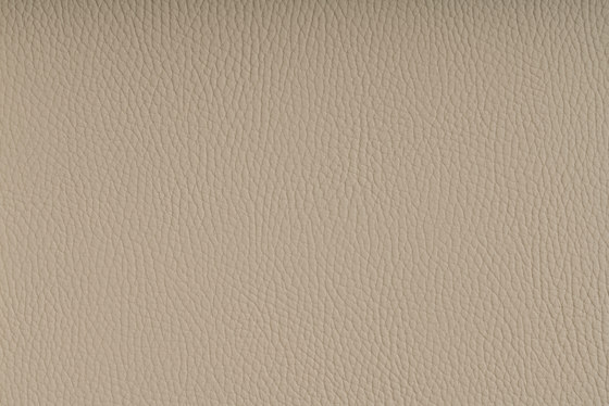 BELUGA WHITECAP | Upholstery fabrics | SPRADLING