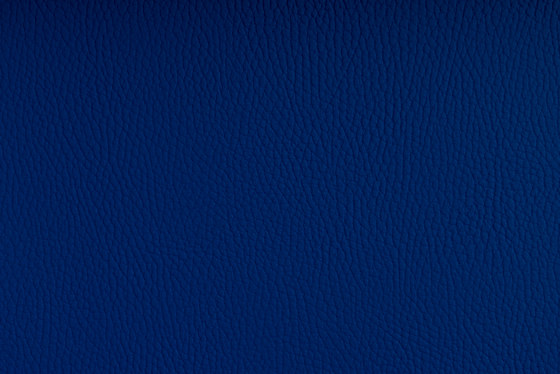 BELUGA TRUE BLUE | Upholstery fabrics | SPRADLING