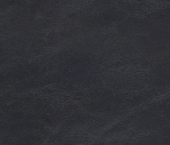 DOLPHIN BLACK | Upholstery fabrics | SPRADLING