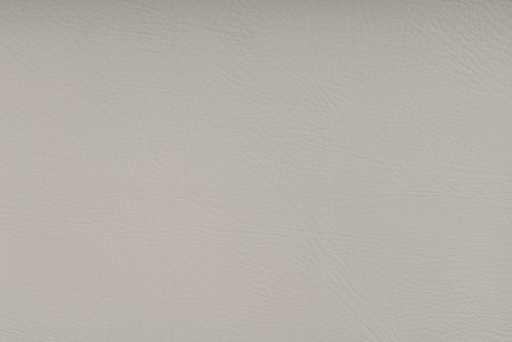 PEGASUS BRILLIANT WHITE | Tissus d'ameublement | SPRADLING