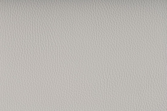 BELUGA PURE WHITE | Upholstery fabrics | SPRADLING