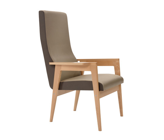 Danesa | armchair | Poltrone | Mobles 114