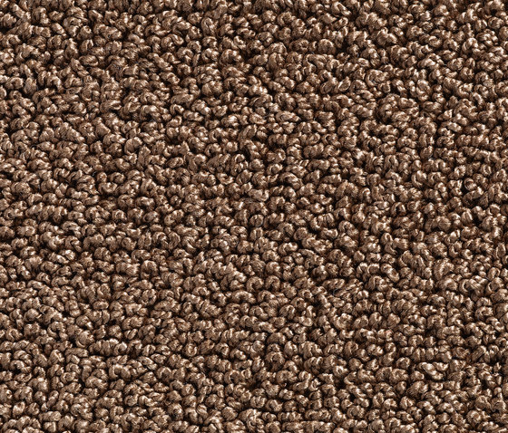Concept 502 - 147 | Teppichböden | Carpet Concept