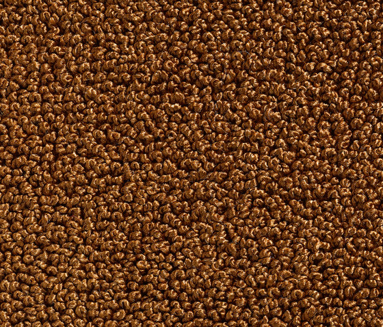 Concept 502 - 206 | Teppichböden | Carpet Concept