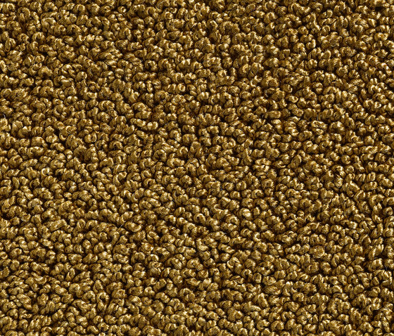 Concept 502 - 211 | Teppichböden | Carpet Concept