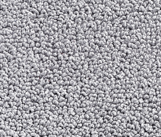 Concept 502 - 304 | Teppichböden | Carpet Concept
