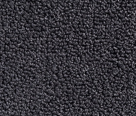 Concept 502 - 331 | Teppichböden | Carpet Concept