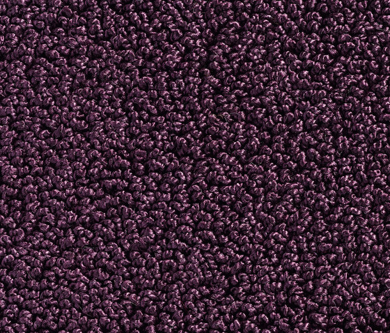 Concept 502 - 436 | Teppichböden | Carpet Concept