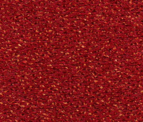 Concept 503 - 236 | Teppichböden | Carpet Concept