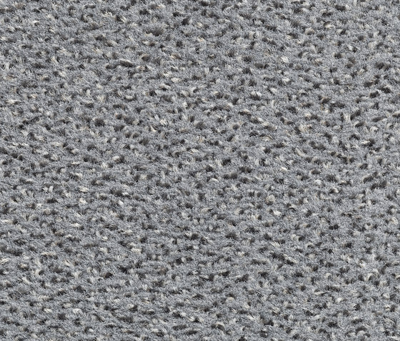 Concept 503 - 308 | Wall-to-wall carpets | Carpet Concept