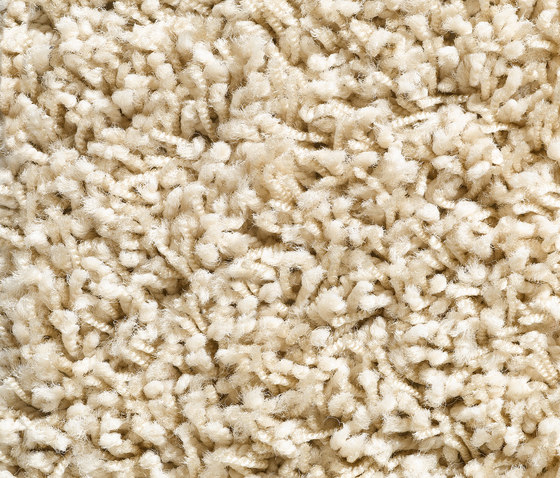 Concept 504 - 115 | Teppichböden | Carpet Concept