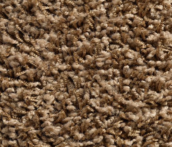 Concept 504 - 159 | Teppichböden | Carpet Concept