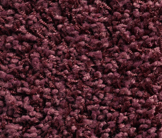 Concept 504 - 251 | Teppichböden | Carpet Concept