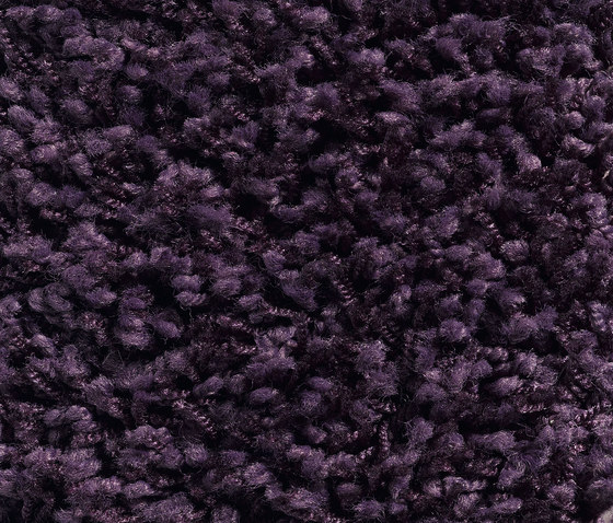 Concept 504 - 436 | Teppichböden | Carpet Concept