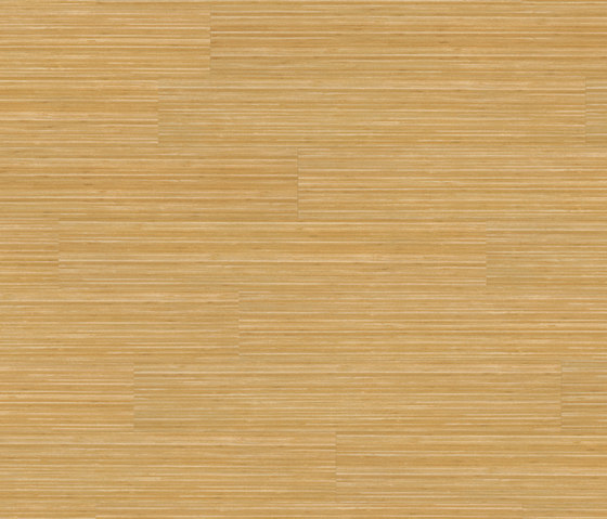 Medium Collection Plank PW 3001 CP | Synthetic panels | Project Floors