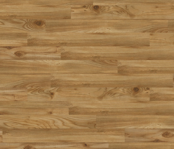 Premium Collection Plank PW 1123 AP | Lastre plastica | Project Floors