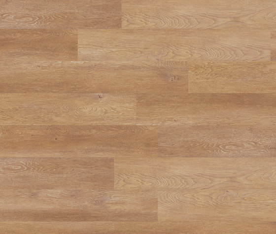 Woba Kollektion Planke WB 0070 | Kunststoff Platten | Project Floors