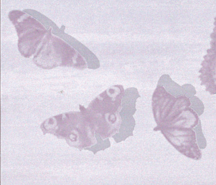 Cielo Farfalle Lavanda Inserto Mix 2 | Piastrelle ceramica | Fap Ceramiche