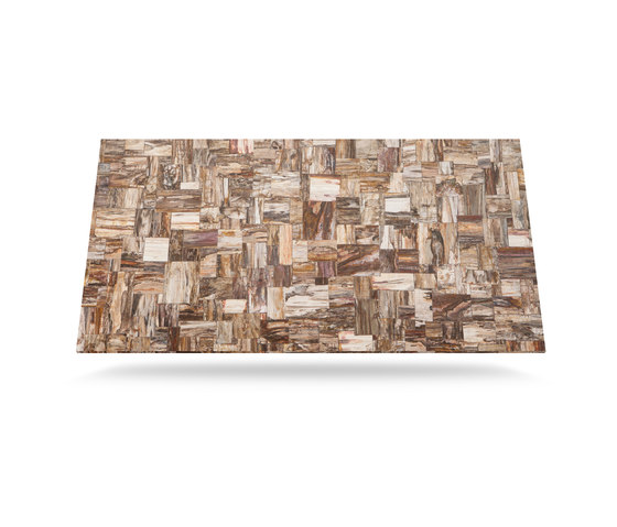 Prexury Retro Petrified Wood | Compuesto mineral planchas | Cosentino