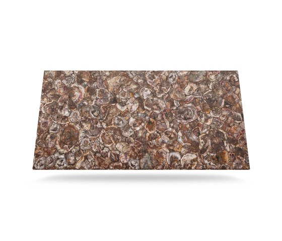 Prexury Petrified Wood | Mineralwerkstoff Platten | Cosentino