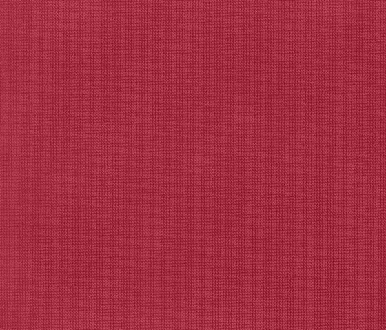Ecosued Daven 801 | Upholstery fabrics | Alonso Mercader