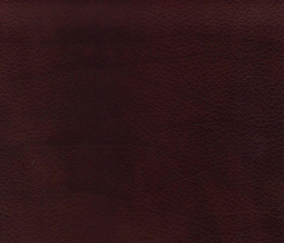 Natural Lorea Bravo 540 | Upholstery fabrics | Alonso Mercader
