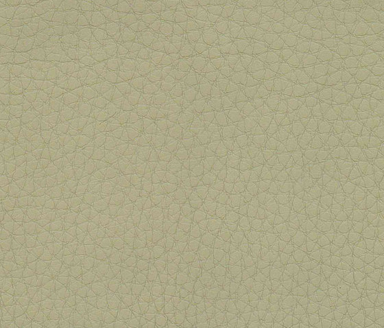 Evolve Bravo 07 | Upholstery fabrics | Alonso Mercader