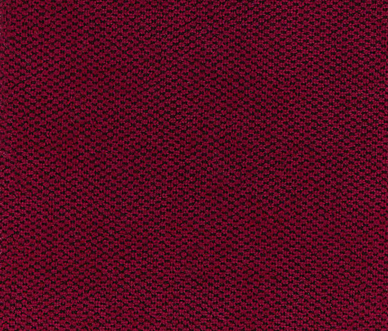 Buccara Buco 8801 | Upholstery fabrics | Alonso Mercader