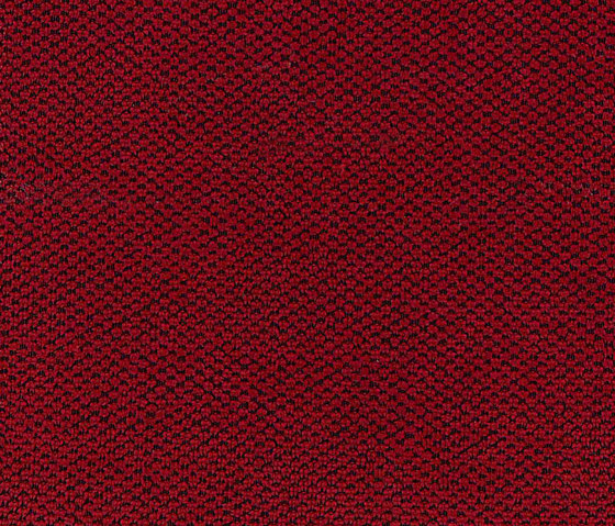 Buccara Buco 8201 | Upholstery fabrics | Alonso Mercader