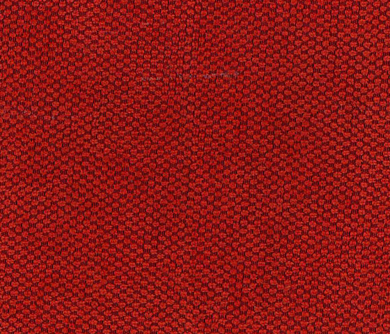 Buccara Buco 8032 | Upholstery fabrics | Alonso Mercader