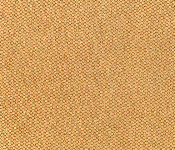 Buccara Buco 8004 | Upholstery fabrics | Alonso Mercader